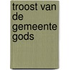 Troost van de gemeente gods door Blok