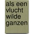 Als een vlucht wilde ganzen