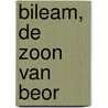 Bileam, de zoon van Beor by Joyce Koster