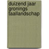 Duizend jaar Gronings taallandschap door H. Feenstra