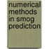 Numerical methods in smog prediction