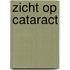Zicht op cataract