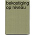 Bekostiging op niveau