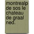 Montrealp de sos le chateau de graal ned.