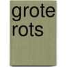 Grote rots door Onbekend