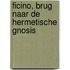 Ficino, brug naar de Hermetische Gnosis