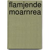 Flamjende moarnrea door Werf