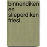 Binnendiken en slieperdiken friesl. by Rienks
