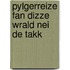 Pylgerreize fan dizze wrald nei de takk