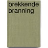 Brekkende branning by Feddema