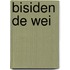 Bisiden de wei