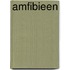 Amfibieen
