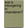 Wat is inburgering in Vlaanderen? door J. Wets