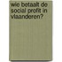 Wie betaalt de social profit in Vlaanderen?