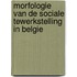 Morfologie van de sociale tewerkstelling in Belgie