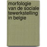 Morfologie van de sociale tewerkstelling in Belgie door L. Lauwereys