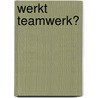 Werkt teamwerk? door Onbekend