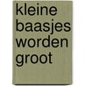 Kleine baasjes worden groot by N. Seghers