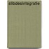 Slibdesintegratie