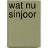 Wat nu sinjoor