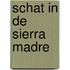 Schat in de sierra madre