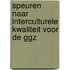Speuren naar interculturele kwaliteit voor de GGZ