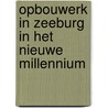 Opbouwerk in Zeeburg in het nieuwe millennium door Onbekend