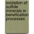 Oxidation of sulfide minerals in benefication processes