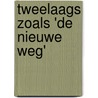 Tweelaags zoals 'de nieuwe weg' door Onbekend