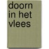 Doorn in het vlees