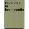 Repelsteel in bourgondie door Joris Denoo