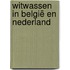 Witwassen in België en Nederland