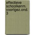 Effectieve schoolkenm. voortgez.ond. 3