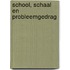 School, schaal en probleemgedrag