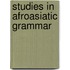 Studies in Afroasiatic grammar