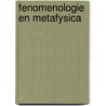 Fenomenologie en metafysica by Luypen