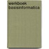 Werkboek basisinformatica
