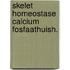 Skelet homeostase calcium fosfaathuish.