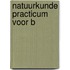 Natuurkunde practicum voor b