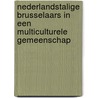 Nederlandstalige Brusselaars in een multiculturele gemeenschap door P. Frantzen