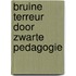 Bruine terreur door zwarte pedagogie