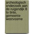 Archeologisch onderzoek aan de Ruigendijk 8 te Tinte, gemeente Westvoorne