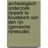 Archeologisch onderzoek Rijnpark te Koudekerk aan den Rijn (gemeente Rijnwoude). door M.W.A. De Koning