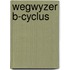 Wegwyzer b-cyclus