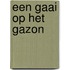 Een gaai op het gazon