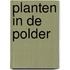 Planten in de polder