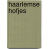 Haarlemse hofjes door Kurtz