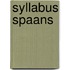 Syllabus Spaans