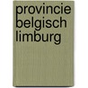 Provincie belgisch limburg door Houten