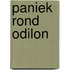Paniek rond Odilon